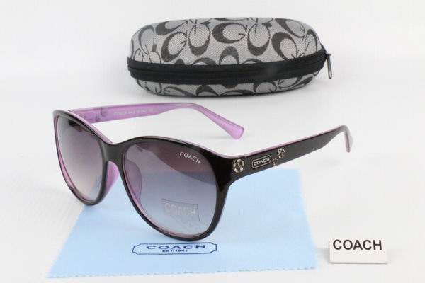 C0ACH Boutique Sunglasses 006